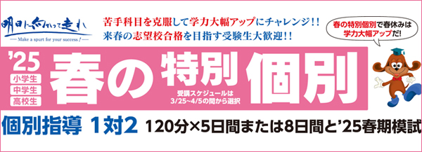 春の特別個別 