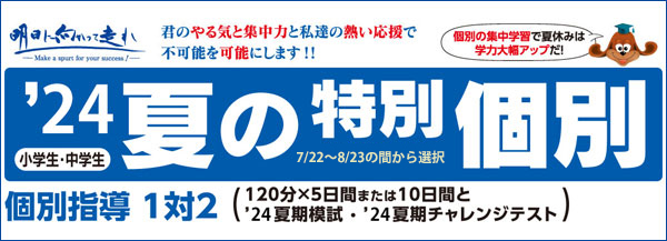 夏の特別個別