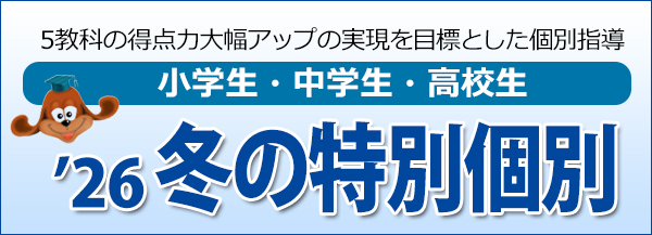 冬の特別個別