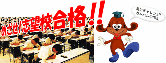 course_img_summer-test03_jhs-thumb-558xauto-111